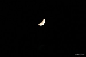 IMG_2924.JPG