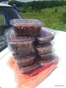 IMG_20160703_131826.jpg