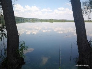 Фото0455_мужду деревьев.jpg