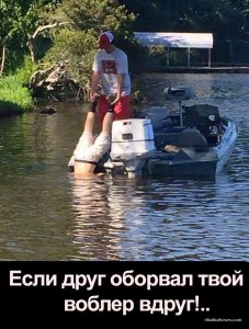 13533296_899289360217563_2910915100539938728_n.jpg