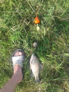 20160619_064605.jpg