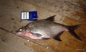 20160705_234507.jpg
