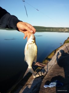IMG_20160706_062417.jpg