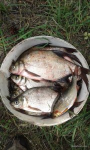 20160706_124829.jpg