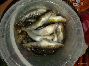 20160708_201524.jpg