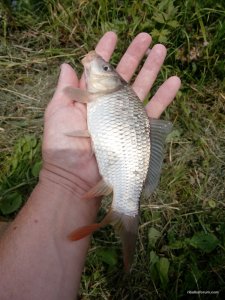 IMG_20160710_115539.jpg