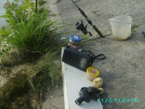 PICT0020.JPG