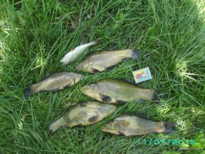 PICT0026.JPG