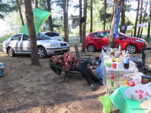 IMG_0156.JPG