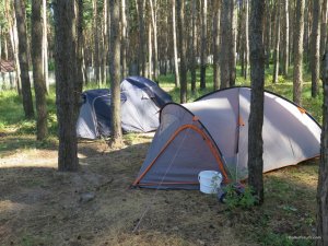 IMG_0161.JPG