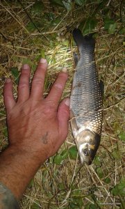 20160713_231438.jpg