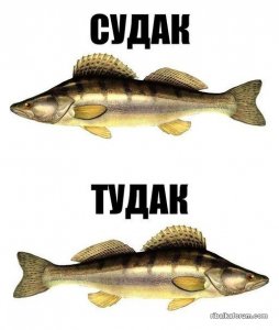 55oT0D8YGA8.jpg