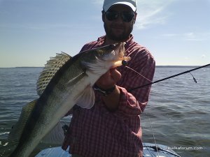 IMG_20160709_094239.jpg