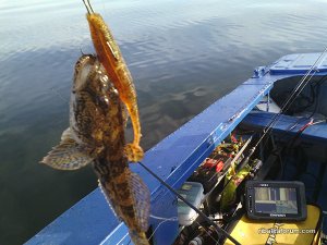IMG_20160709_184516.jpg