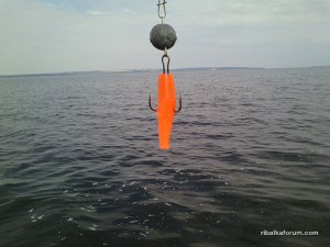 IMG_20160710_095745.jpg