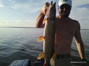 IMG_20160709_190318.jpg
