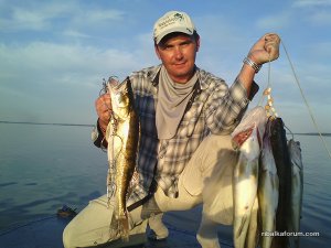 IMG_20160709_201428.jpg