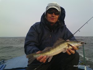 IMG_20160710_062219.jpg