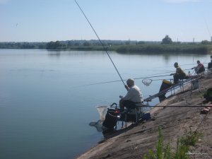 IMG_0641[1].jpg