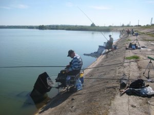 IMG_0643[1].jpg