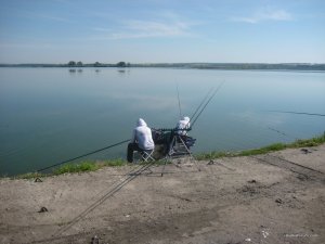 IMG_0638[1].jpg