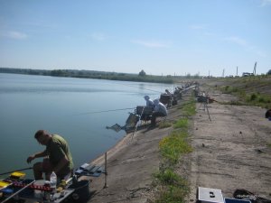 IMG_0645[1].jpg