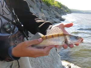 IMG_3230.JPG