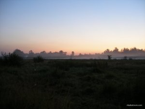 P1010019.JPG