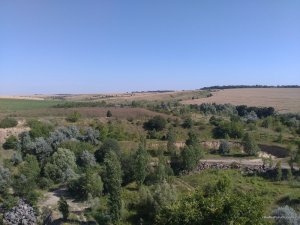 IMG_20160712_161341.jpg