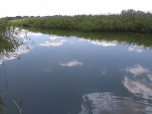 IMG_20160711_124757.jpg