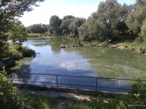 IMG_20160711_153406.jpg
