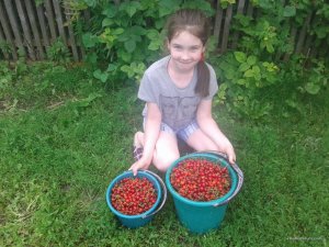 20160619_154451.jpg