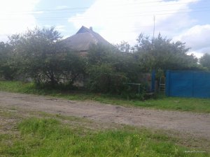 20160619_151520.jpg