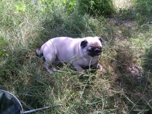 IMG_20160710_105836.jpg