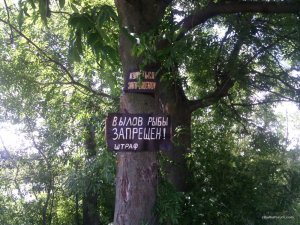 IMG_20160710_105903.jpg