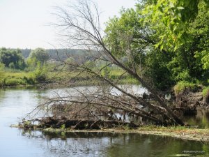 IMG_0056.JPG