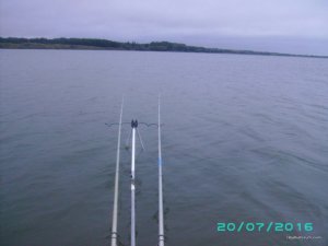PICT0036.JPG