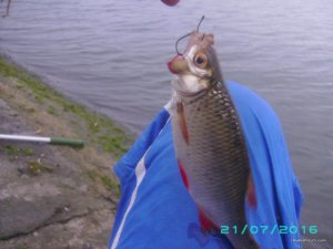 PICT0038.JPG