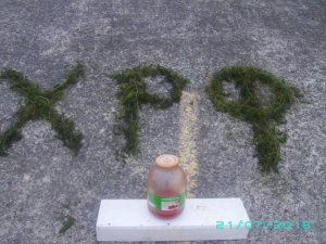 PICT0039.JPG