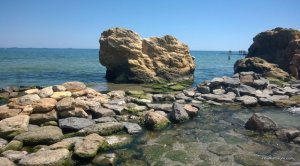 WP_20160711_002.jpg