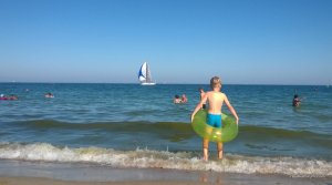 WP_20160713_003.jpg