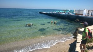 WP_20160714_046.jpg