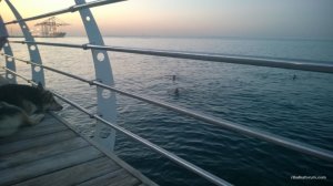 WP_20160714_098.jpg