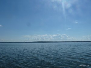 P1050417.JPG