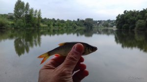 20160722_112841.jpg