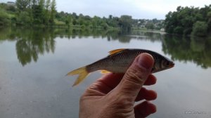 20160722_112913.jpg