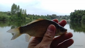 20160722_112816.jpg