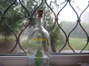IMG_0220.JPG