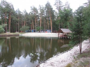 IMG_2896.JPG