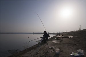 _MG_5016.jpg